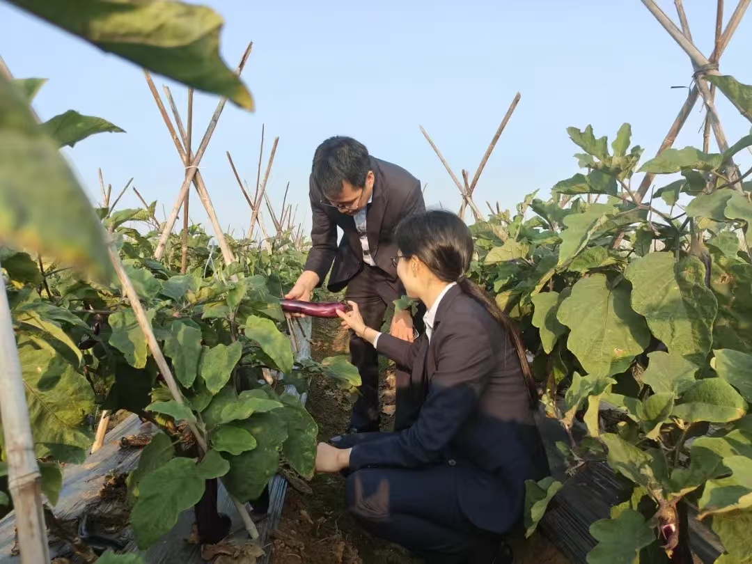 ecfed62f2203cfaf1408e75f953533d ecfed62f2203cfaf1408e75f953533d