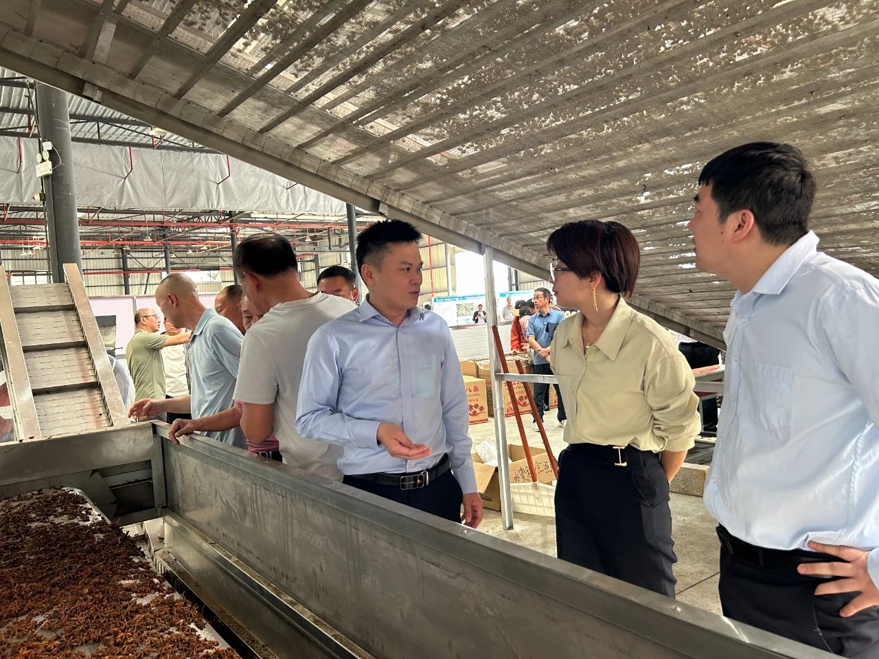 微信圖片_20250617175933